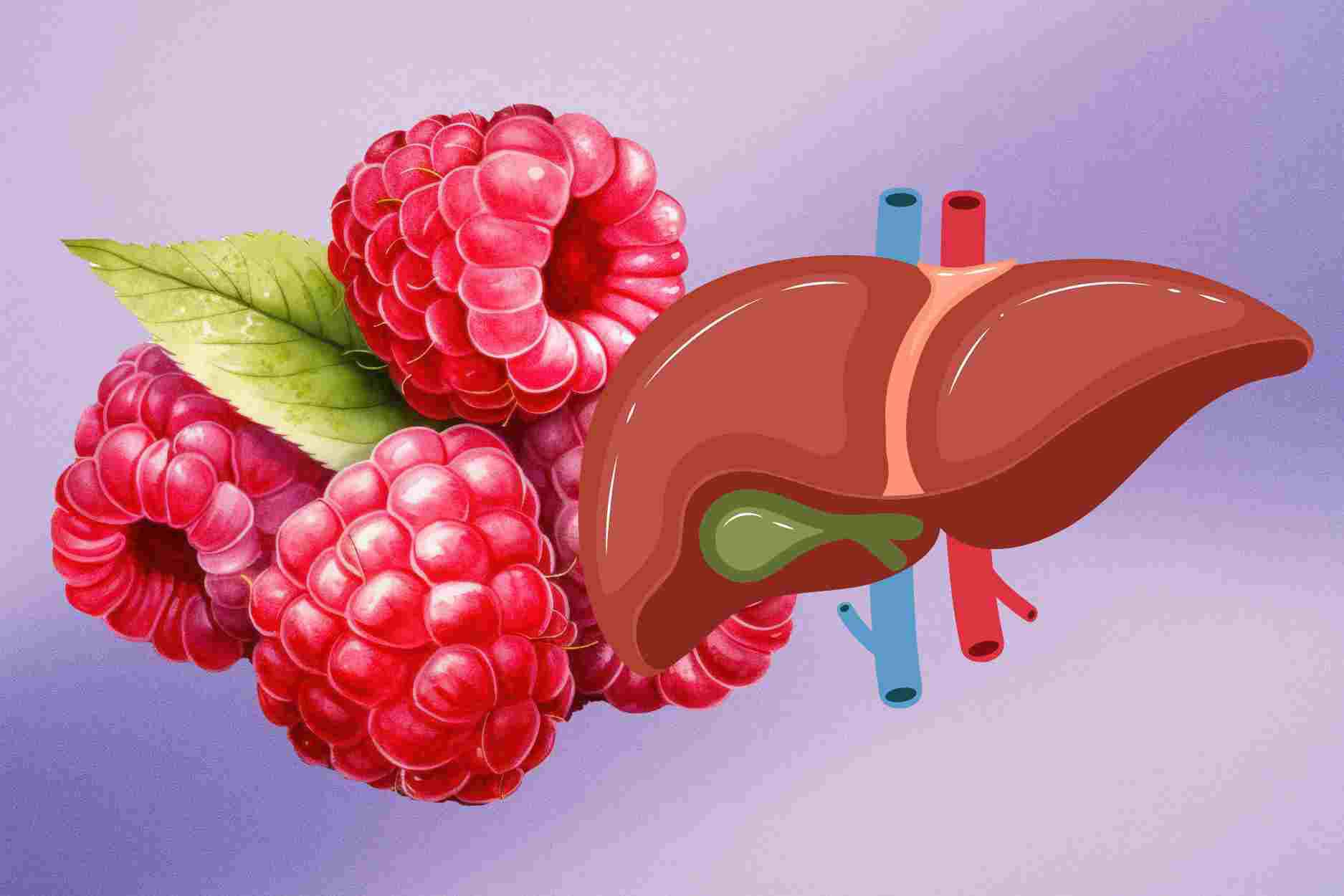 Golden time to eat sticky rice to help the liver detoxify best