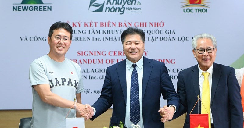 Robot AI Nhật Bản thử nghiệm trên đồng ruộng Đồng bằng sông Cửu Long