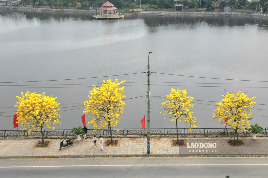 Hồ Thiên Hương tại xã Tam Nông. Ảnh: Foo Công