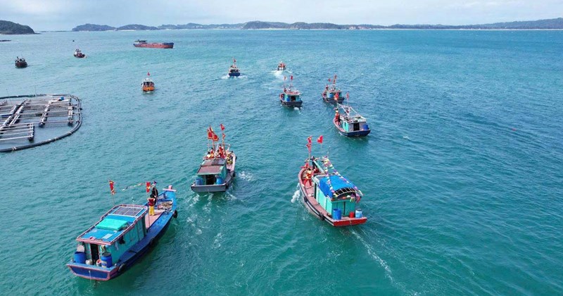 Quảng Ninh khai mạc Lễ hội biển, thuyền tấp nập ra khơi