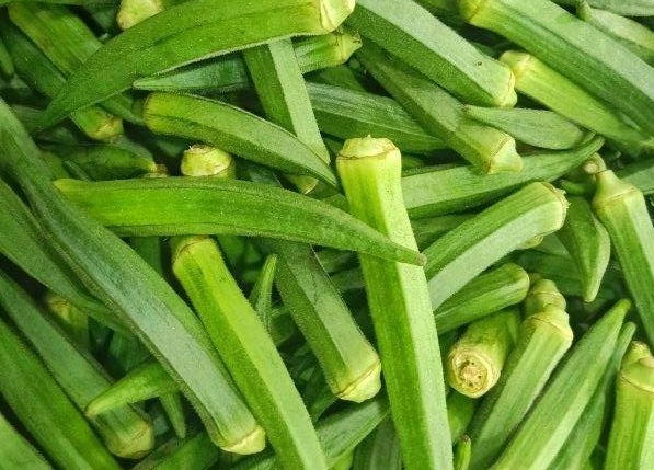 OKRA has a low glycemic index, which is said to have an effective effect in reducing blood fat. Photo: Kieu Vu