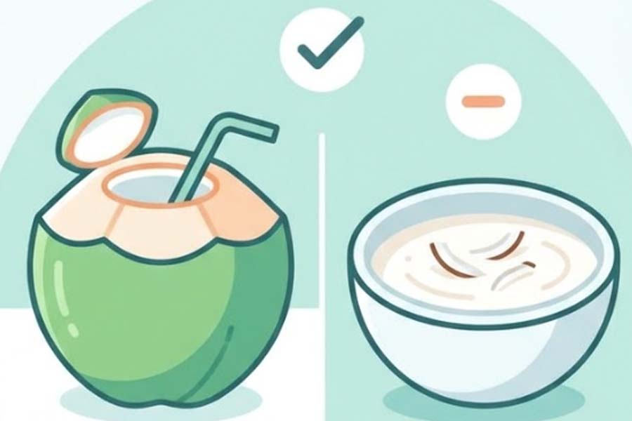Coconut water provides better hydration than coconut milk. Graphics: Thien Nhan