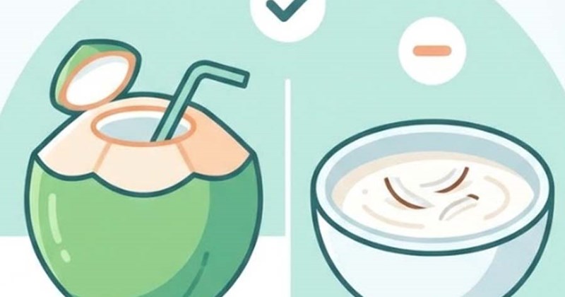 Nước dừa giúp bù nước tốt hơn sữa dừa