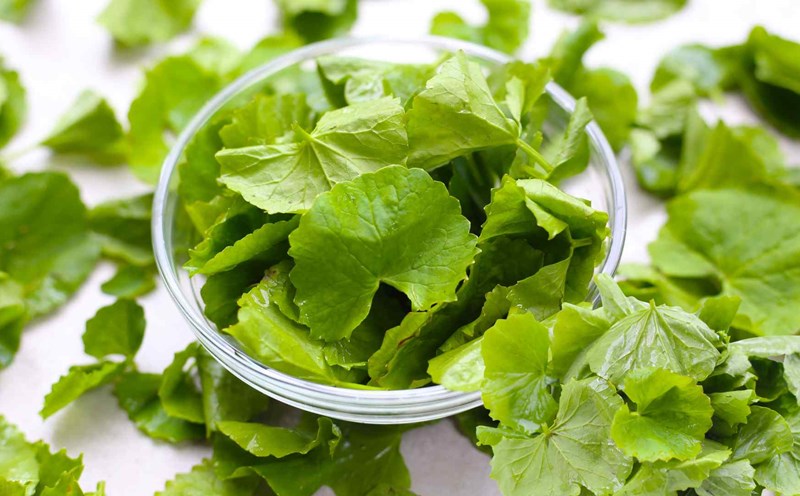 4 Types De L gumes feuilles Verts Riches En Nutriments Qui Aident 4-types-de-l-gumes-feuilles-verts-riches-en-nutriments-qui-aident