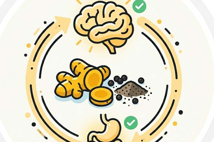 Le curcuma et le poivre noir soutiennent de manière globale de la digestion au cerveau. Graphique: Thiện Nhân