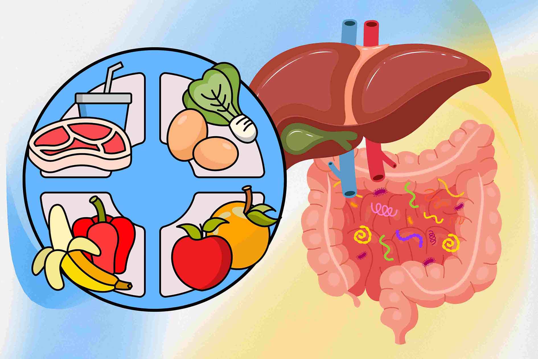 5 combination foods to help keep the liver and intestines healthy