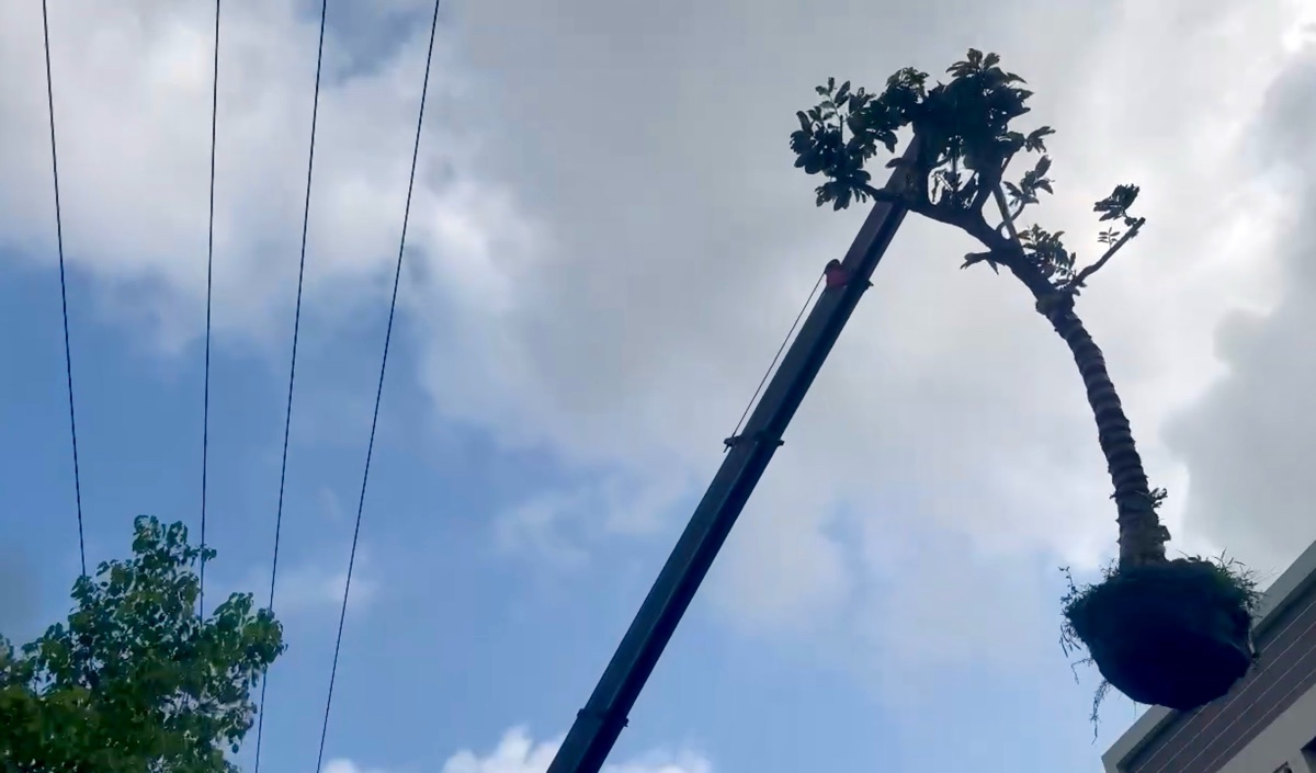 Hiện trường vụ việc. Ảnh: Duy Tuấn 