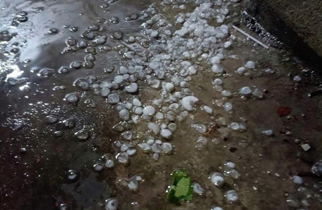 Hail appeared in Viet Hung, Hanoi in the early morning of March 30. Photo: Nguyen Xuan Linh