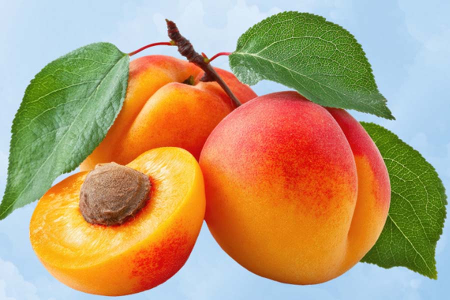 Things to know when eating apricots that should not be missed