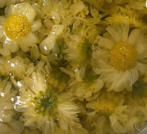 Lợi ích của trà cúc la mã cải thiện giấc ngủ. Ảnh: Ngọc Mai