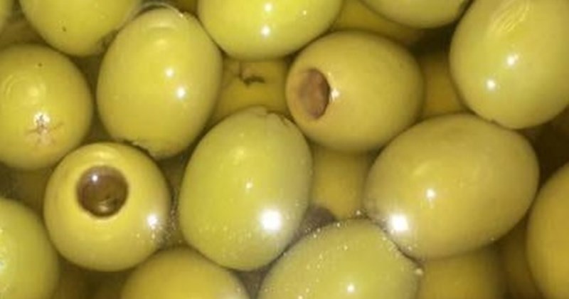 Giải độc gan bằng ô liu: Có nên hay không?