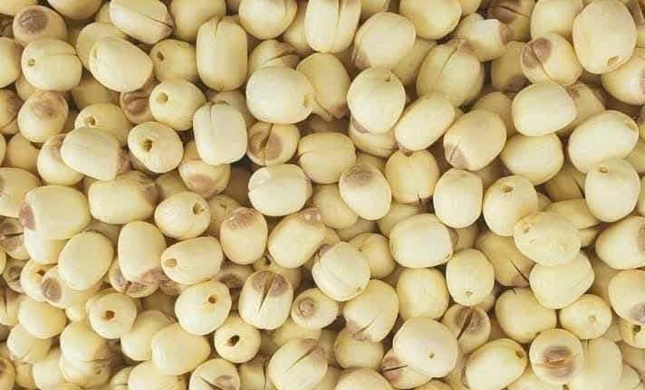 Les personnes souffrant d'insuffisance rénale ne doivent pas nécessairement s'abstenir complètement des graines de lotus, mais doivent limiter et utiliser de manière contrôlée. Photo: Kiều Vũ