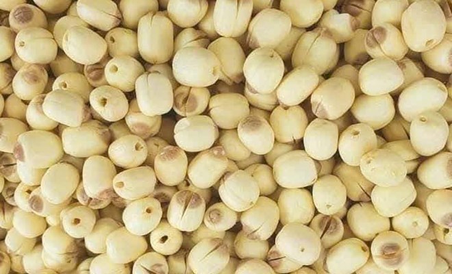 Suy thận có nên hạn chế ăn hạt sen không?