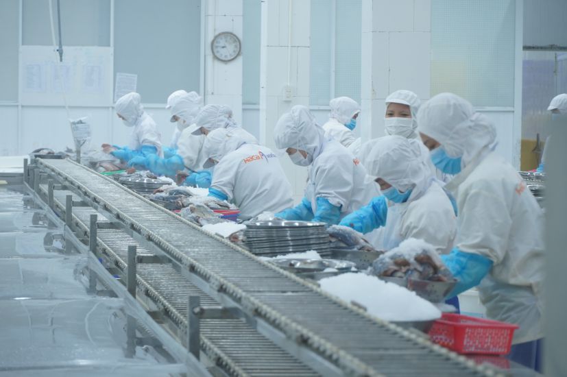 생산 수요가 증가함에도 불구하고 껀터의 많은 기업들이 노동력을 "갈망"하고 있습니다. 사진: 따꽝