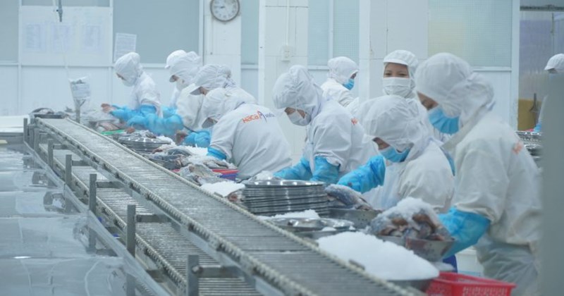 Cần Thơ thiếu lao động trong bối cảnh sản xuất tăng cao