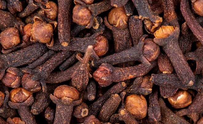 Dinh huong has antioxidant properties and the ability to support uric acid excretion. Photo: Thuy Duong