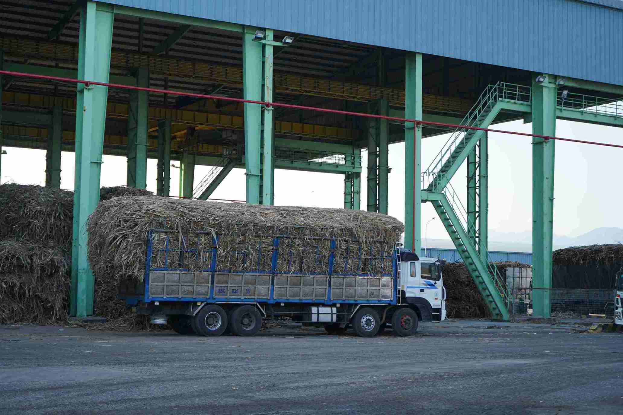 Người dân lo ngại về tình trạng ô nhiễm gần Nhà máy đường Cam Ranh. Ảnh: Hữu Long