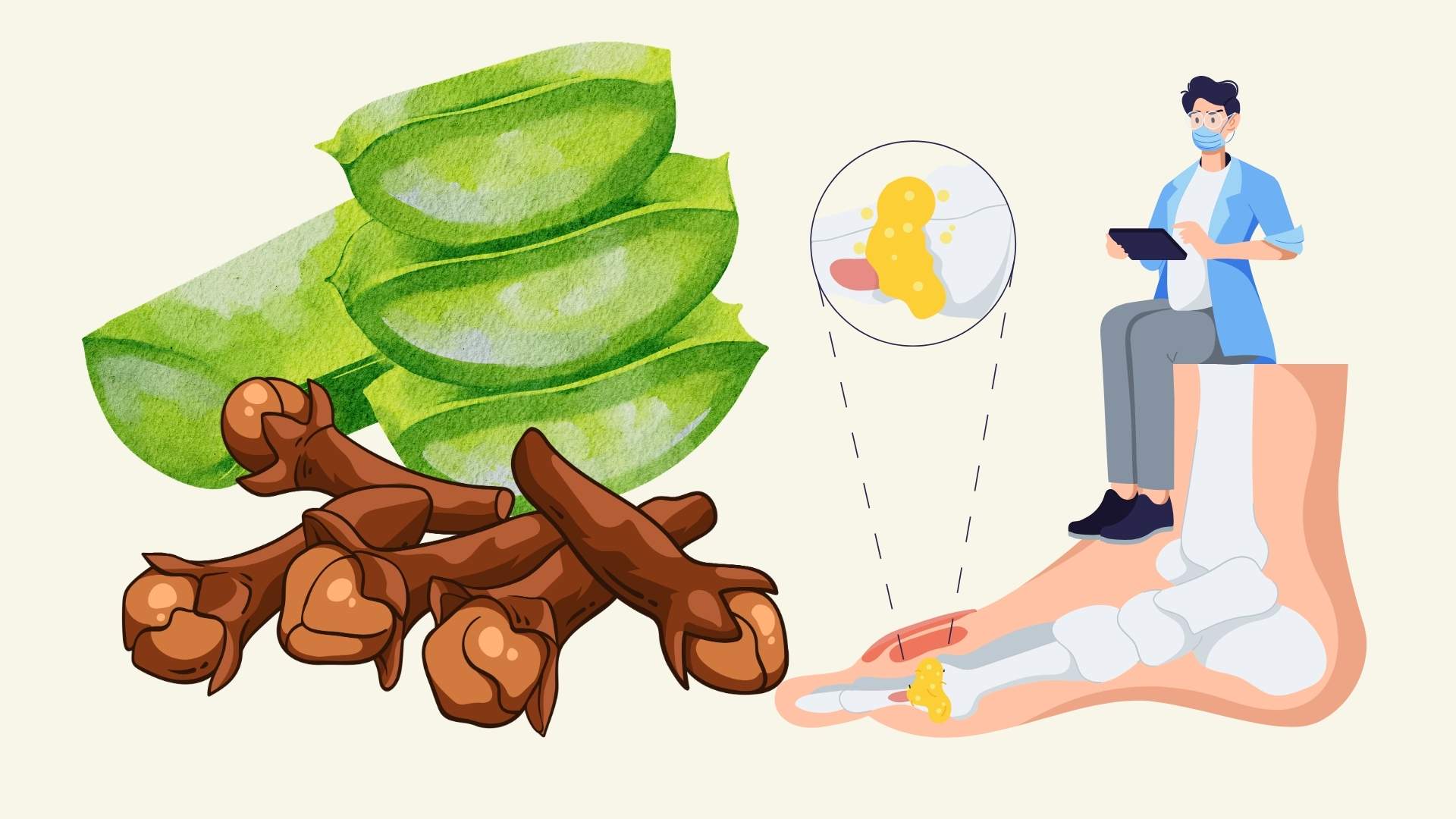 Eliminate uric acid with easy-to-find herbs. Graphics: Linh Dan