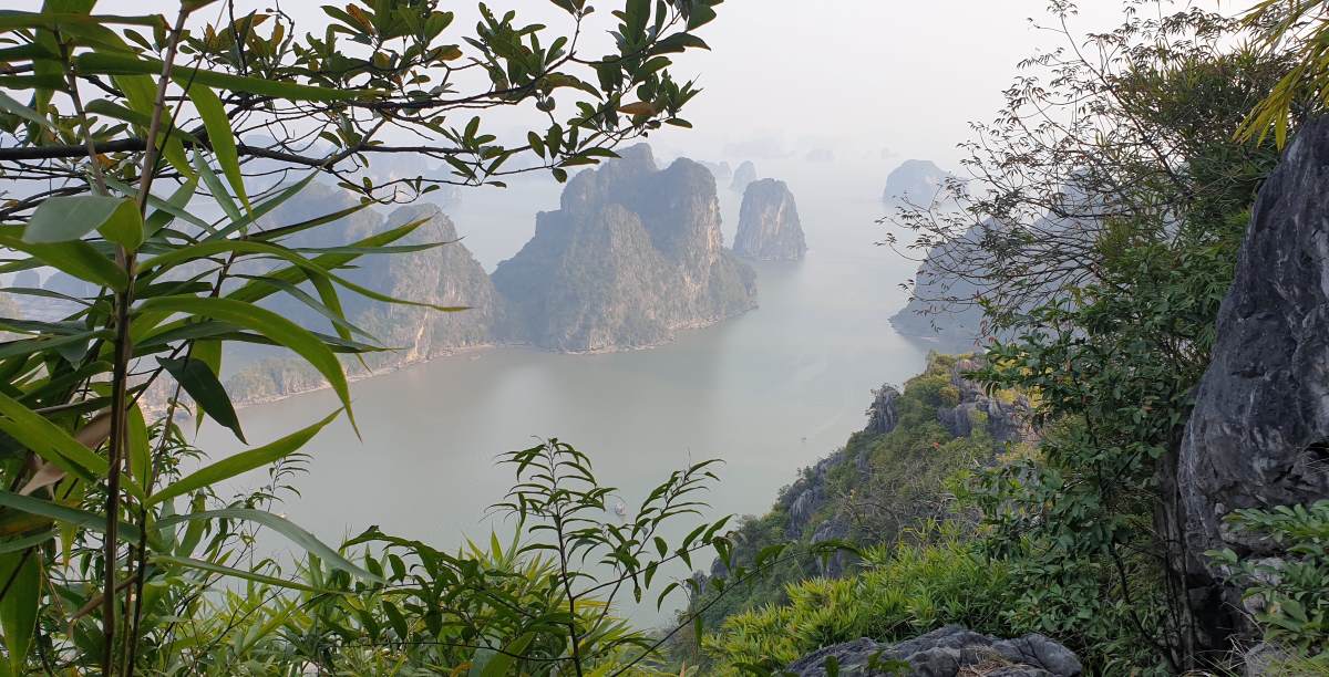 The opening of Bai Tho mountain for tourism has been discussed over and over again for many years but is still closed. In the photo is the view of Ha Long Bay seen from the top of Bai Tho mountain. Photo: Nguyen Hung