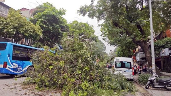 Cành cây gãy chắn đường, ô tô bị hư hỏng nặng trên phố Bà Triệu. Ảnh: Đồng Toàn