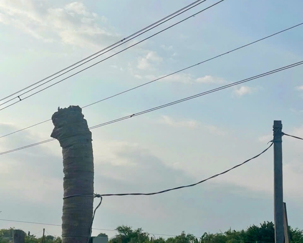 Dây cước câu cá vướng vào dây điện khiến 1 người bị điện giật và bỏng nặng. Ảnh: Duy Tuấn 