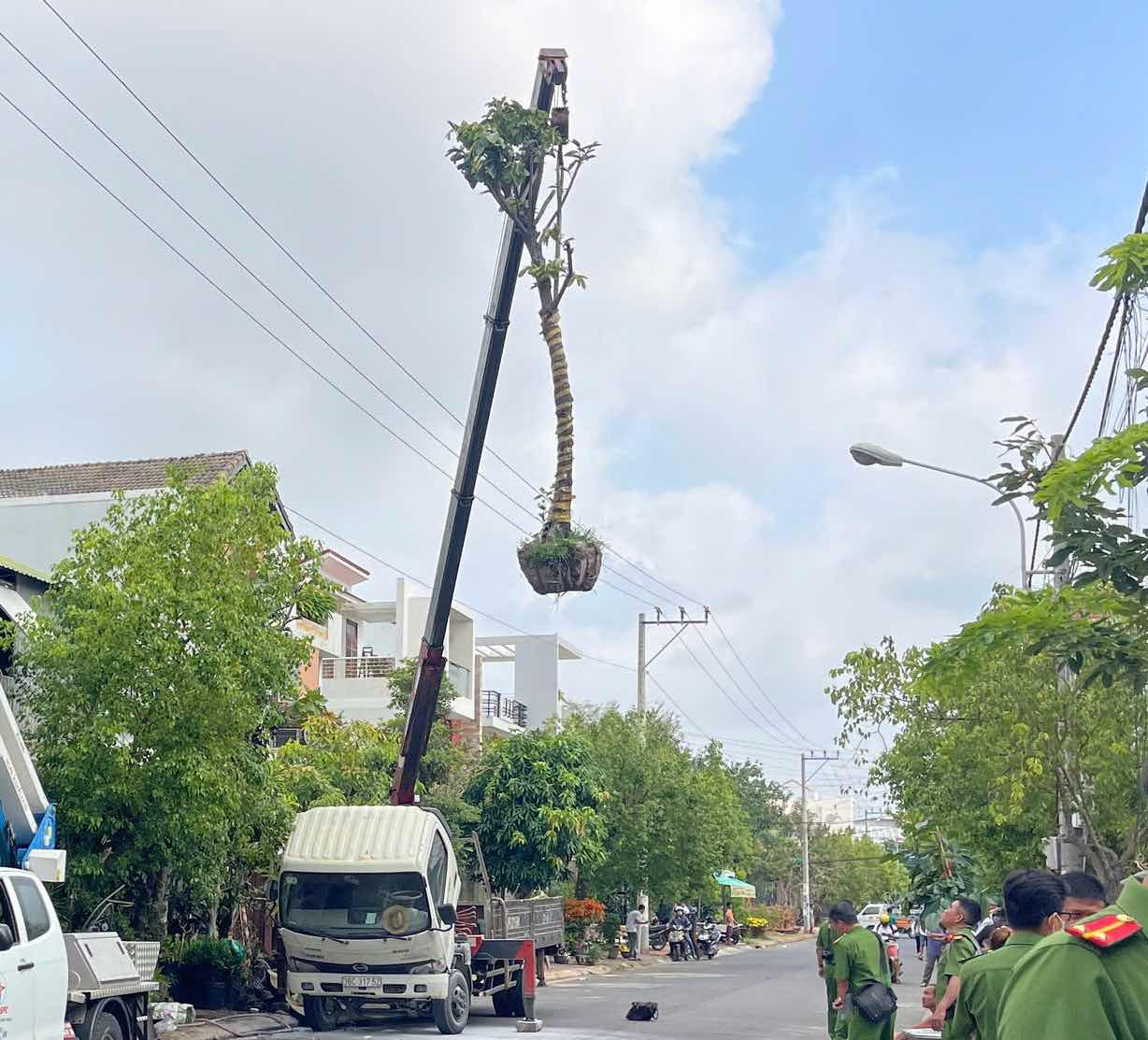 Hiện trường vụ xe cẩu cẩu cây nghi vướng dây điện khiến 1 người điều khiển tay cẩu tử vong, sáng 30.3. Ảnh: Duy Tuấn 