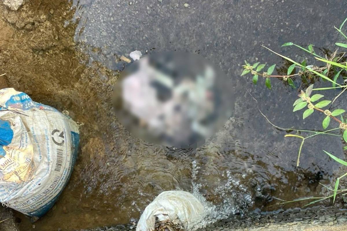 Functional agencies are clarifying the cause of the newborn baby's body being discovered in a ditch. Photo: NDCC