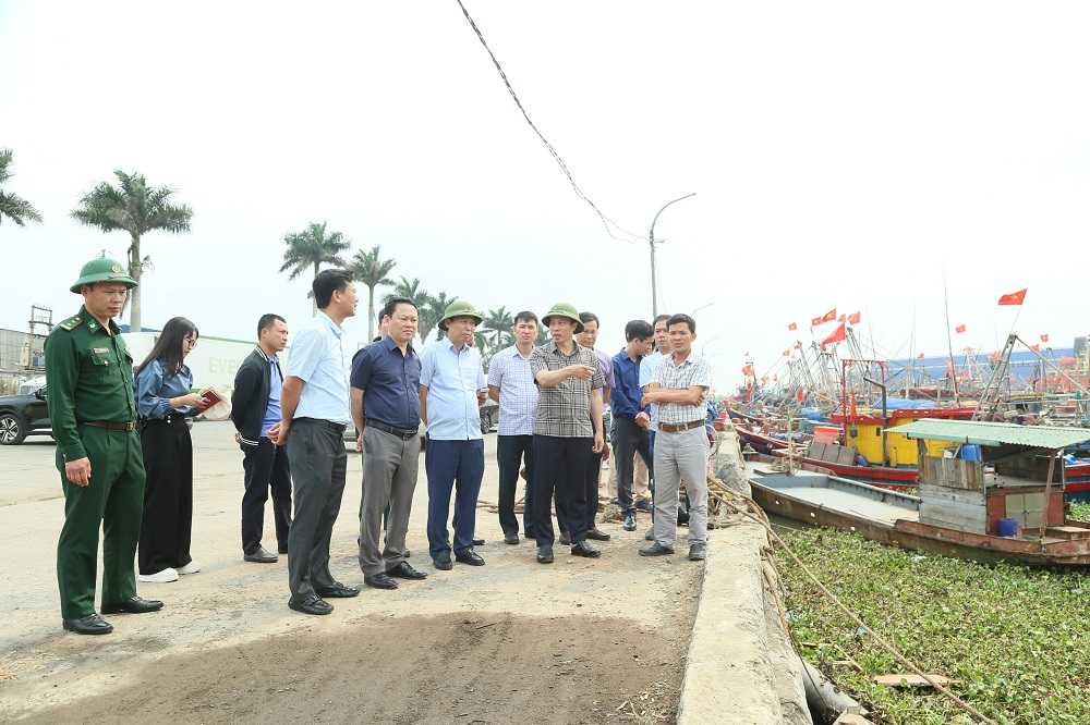 Vice Chairman of the Provincial People's Committee Lai Van Hoan and the inspection team inspect the construction progress of the Tan Son Fishing Port upgrade project, Thai Thuy commune. Photo: Tat Dat
