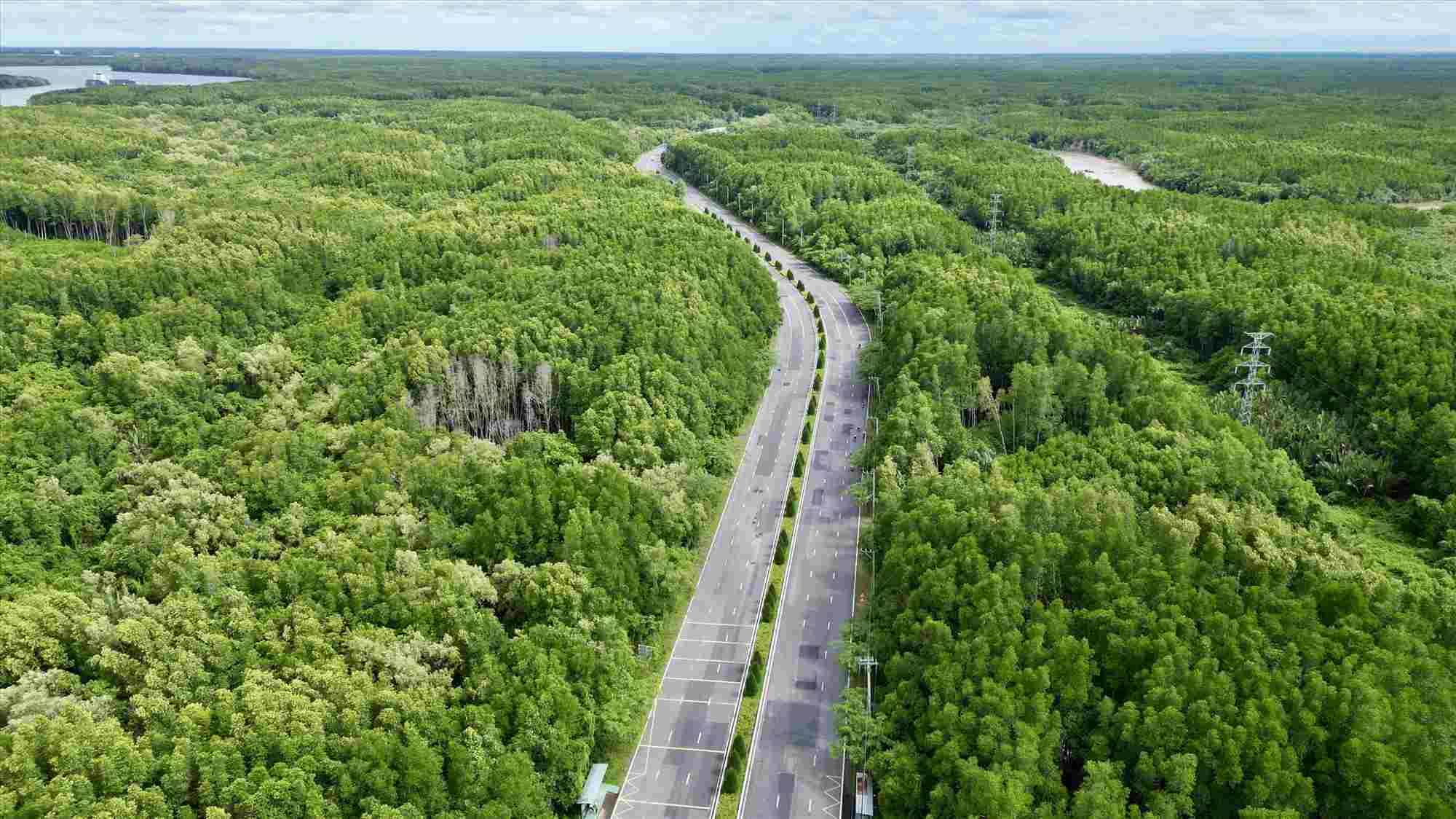 Rung Sac road through Can Gio mangrove forest. Photo: Anh Tu