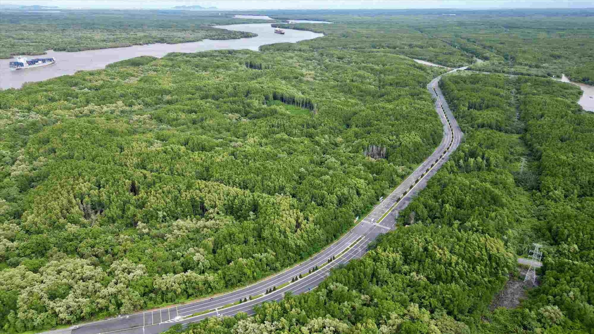 Đường Rừng Sác.  Ảnh: Anh Tú