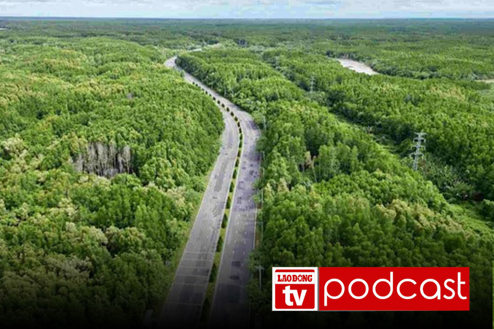 Morning news 1. 4: Proposal to expand Rung Sac road across Can Gio forest to 10 lanes