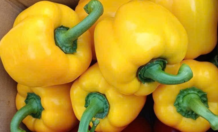 Reducir la grasa abdominal con platos elaborados con pimientos se aplica a muchas personas. Foto: Kieu Vu