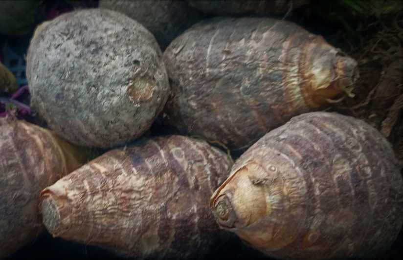 Dishes made from taro are said to be a source of calcium for the body. Photo: Kieu Vu