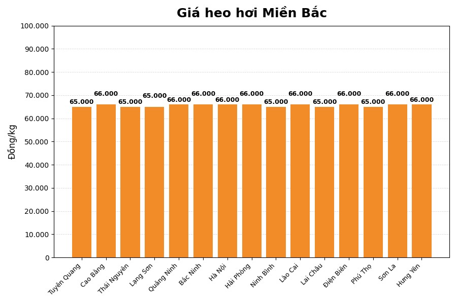 Giá heo hơi hôm nay 4.3 tại miền Bắc. Đồ họa: Thùy Linh.