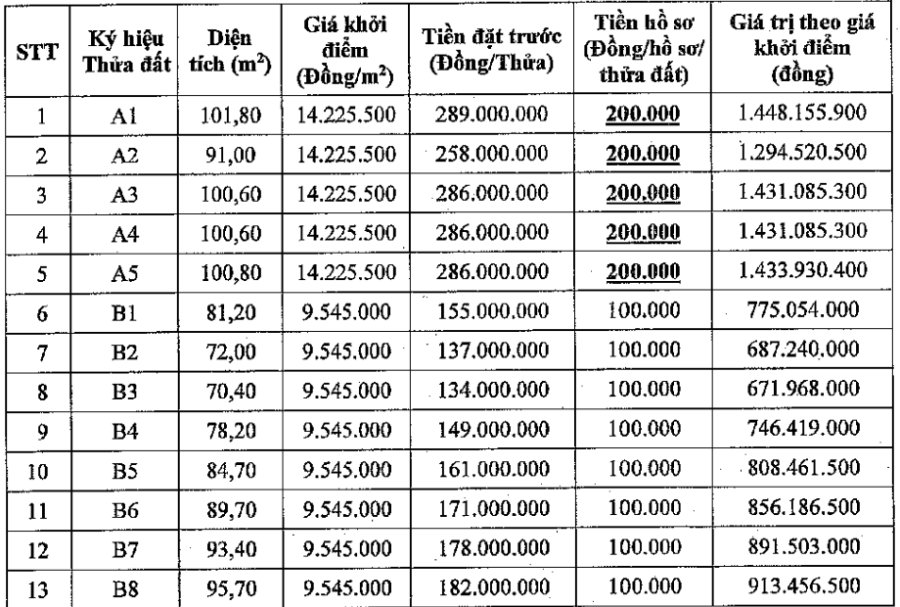 Thông tin phiên đấu giá 13 thửa đất tại xã Quốc Oai. Ảnh: Công ty Đấu giá Hợp danh Số 5 - Quốc gia