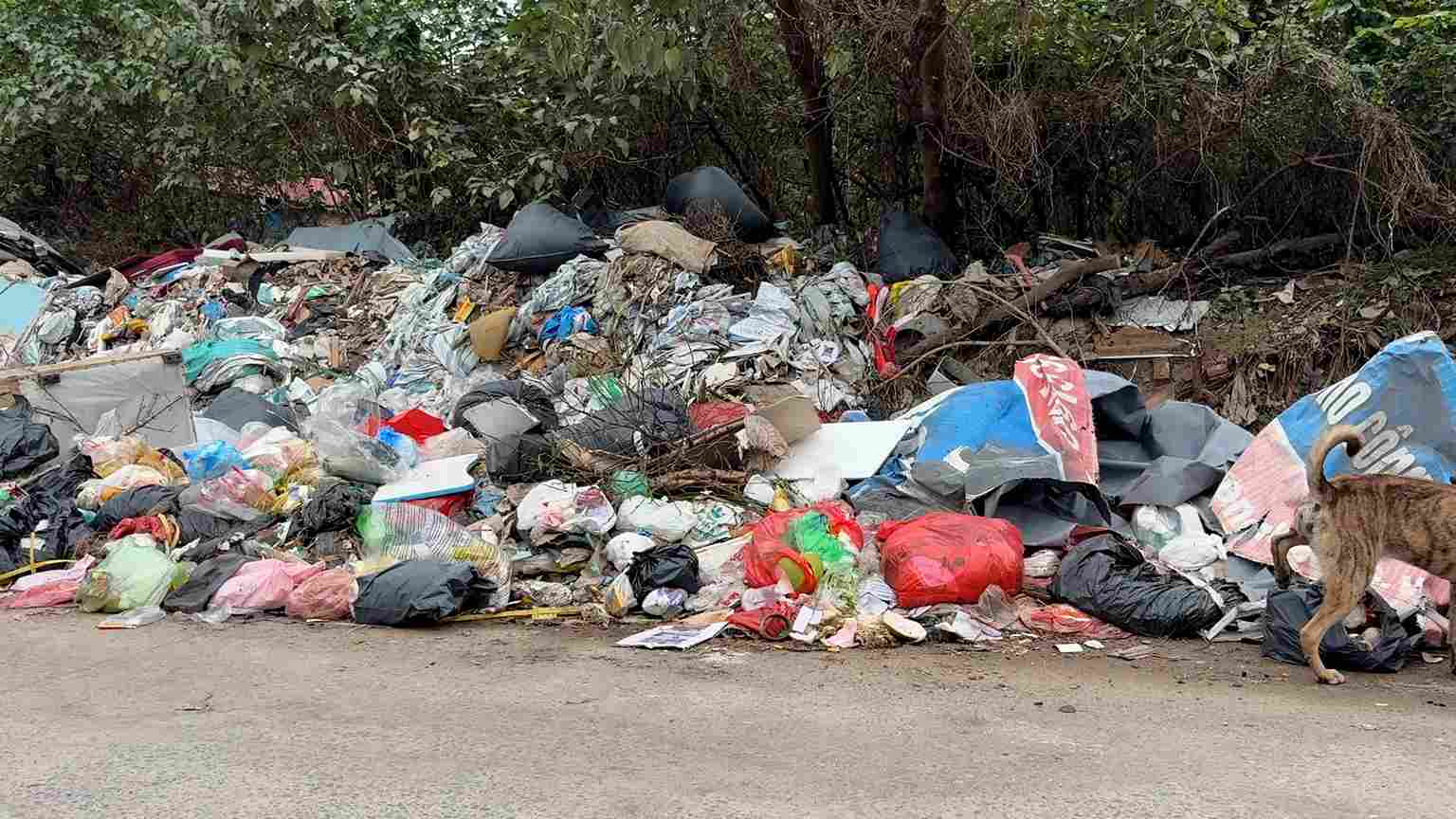 Brazenly illegally dumping waste, spontaneous landfills "sprout" in residential areas.