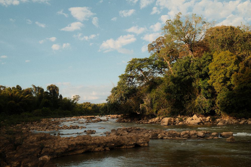 A visit to Cat Tien will surely bring different emotions. Photo: Minh Duc