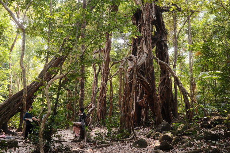 Với nhiều người, Cát Tiên không đơn thuần là một điểm check-in, mà là nơi để “đi trốn” khỏi những xô bồ. Ảnh: Minh Đức