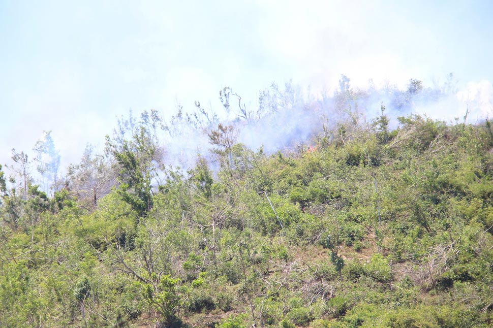 Ba Hoa Mountain (Quy Nhon ward, Gia Lai) caught fire at noon. Photo: Hoai Phuong