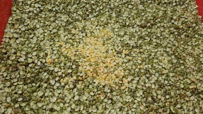 Supplementing with a variety of foods is the simplest way to avoid shortages. Photo: Ha May