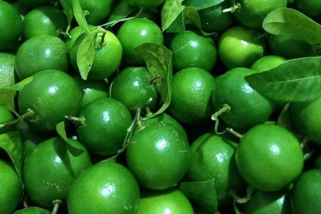 Warm water mixed with lemon juice helps the kidneys eliminate uric acid. Photo: Kieu Vu.