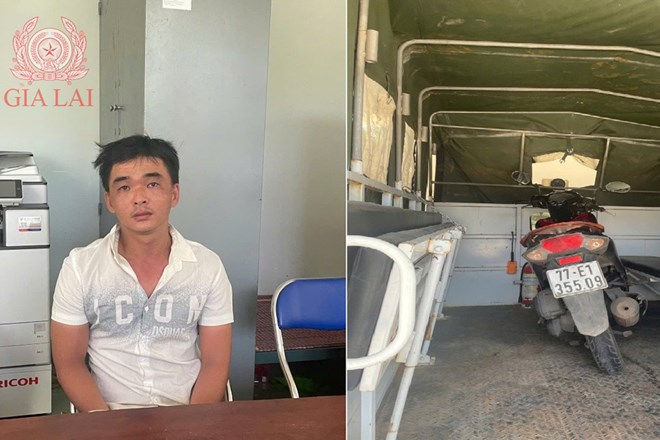 Ra tù chưa lâu, kẻ từng lĩnh án cướp giật lại gây án ở Gia Lai