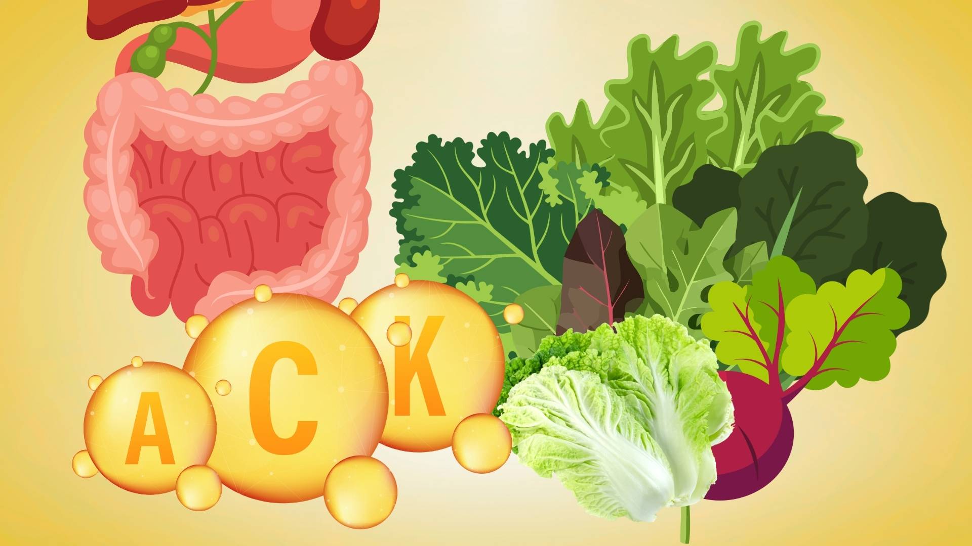6 types of green vegetables good for the digestive system