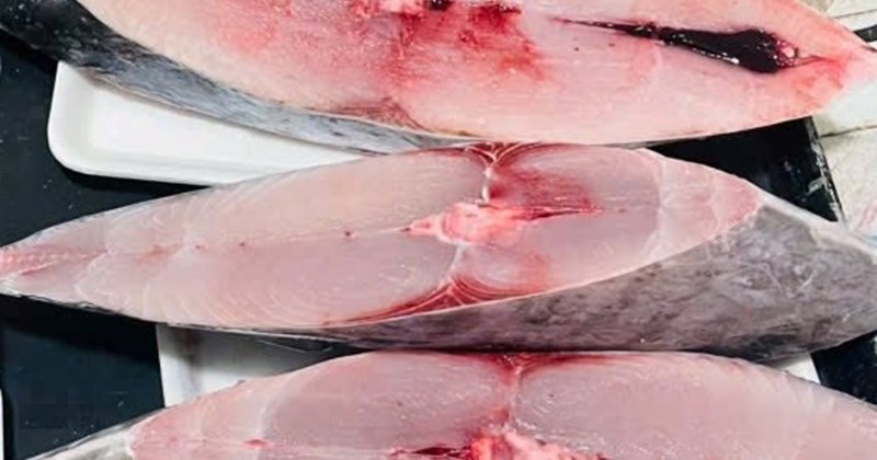 Cá biển chảy máu bất thường, ảnh hưởng đến người tiêu dùng