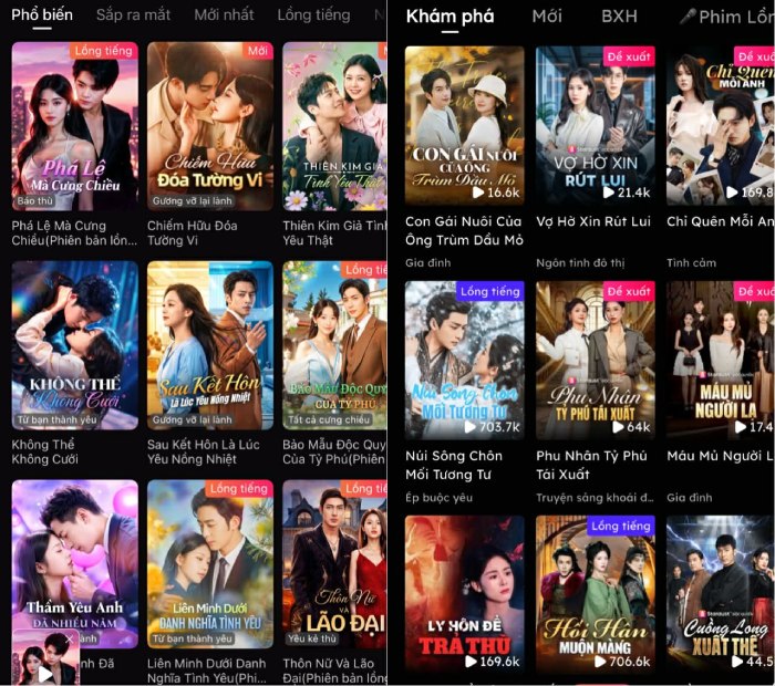 Hai ứng dụng xem phim ngắn Trung Quốc và quốc tế phổ biến tại Việt Nam. Ảnh: Minh Phương