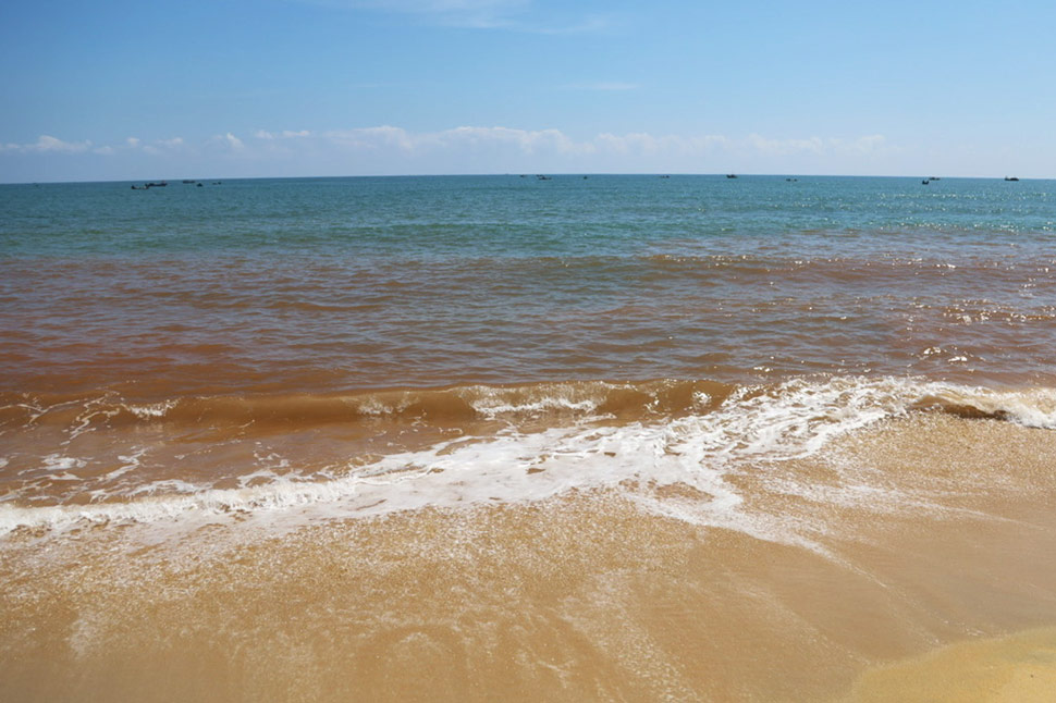 The red water strip stretching along the coast of Hoai Nhon Bac ward (Gia Lai) is identified as not a phenomenon of algae blooming. Photo: Hoai Phuong