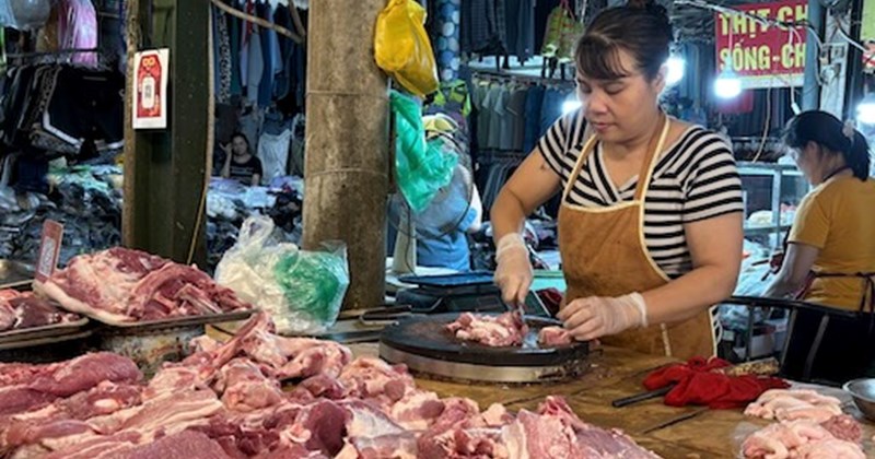 Giá heo hơi 5/3: Giảm sâu, chỉ 3 tỉnh đạt 70.000 đồng/kg