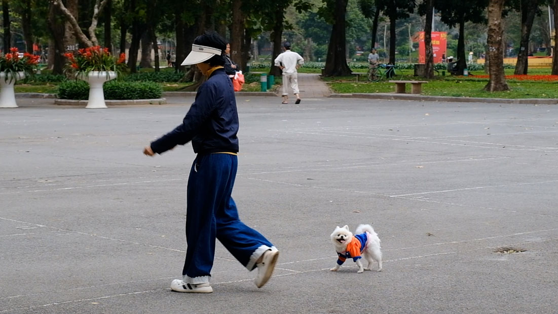 La situation des petits chiens toujours en liberté inquiète de nombreuses personnes quant au risque de rage.