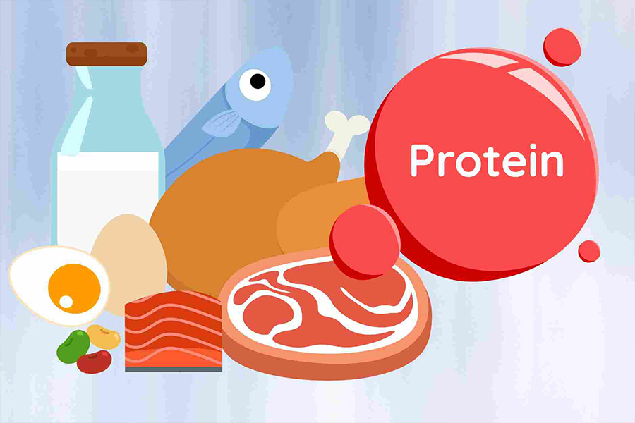 3 important times to supplement protein during the day