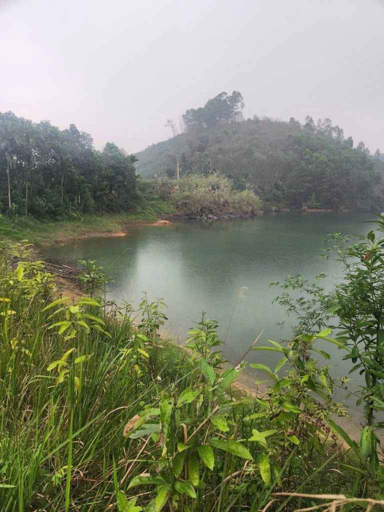 Khu vực xảy ra vụ việc. Ảnh: Yên Bái